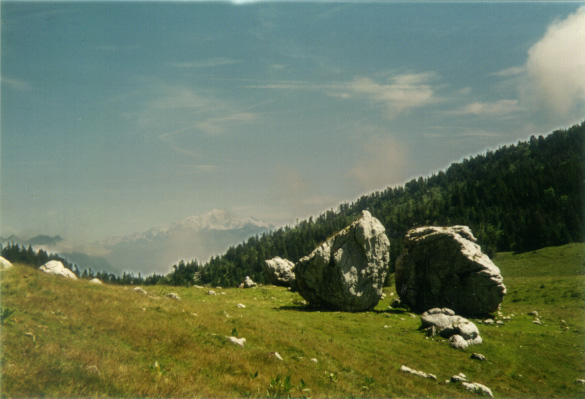 Au col de l'Alpette (Mont Blanc au fond)