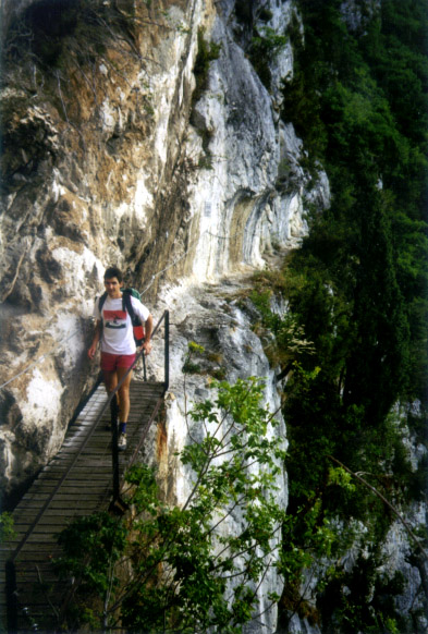 la passerelle Mller