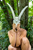 Faune en équilibre 