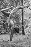 Faune (noir et blanc)